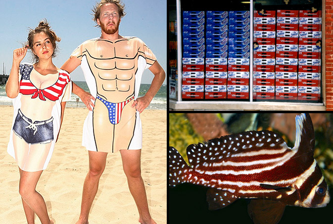 usa-patterns