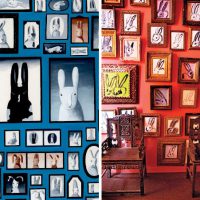 Follow-up: Bunny Portraiture
