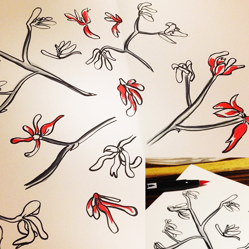 2kangaroopaws_drawing2
