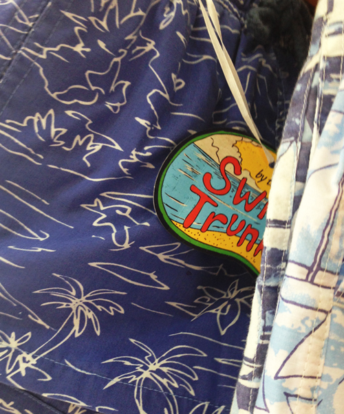 2bali_mens_swim