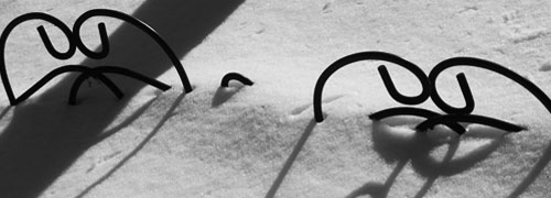 snow-pic4