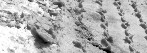 snow-pics10