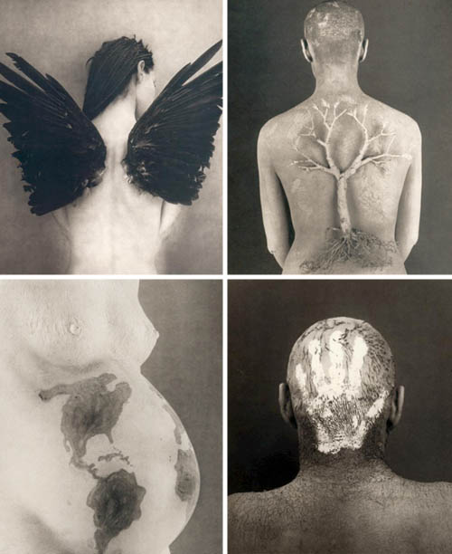 body-stories