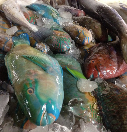 4fishmarket