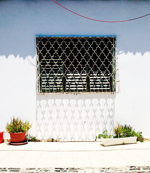 telaviv_patternpulp_nevetzedek