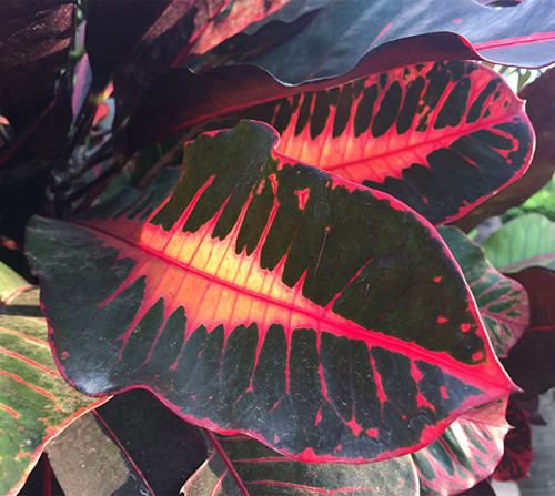 2Summer_Brights